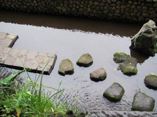 20120611 019