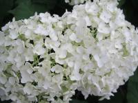 20120611 020