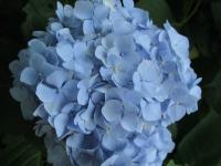 20120611 015