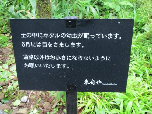 20120621 038