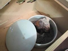 20120621 061