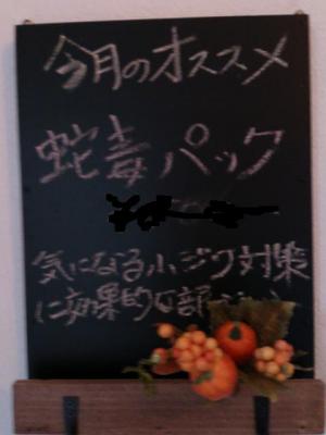 DSC_0059_20121109101012.jpg