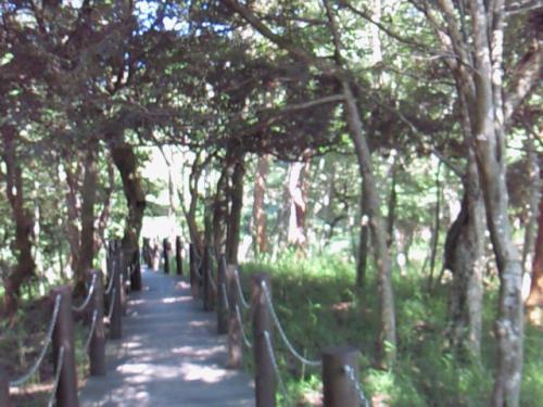 NEC_0396.jpg