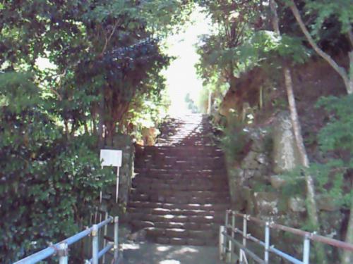 NEC_0442.jpg