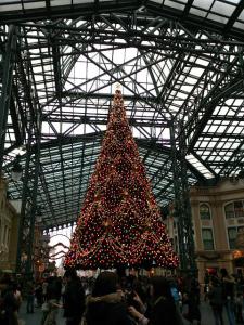 rps20121129_085803.jpg