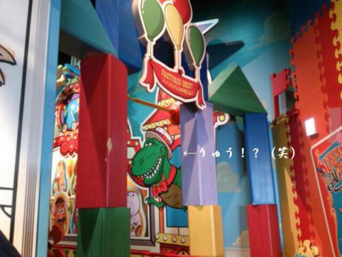 rps20121129_090059-1.jpg