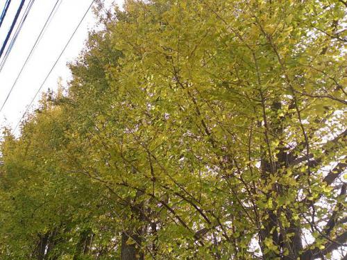rps20121202_144829.jpg