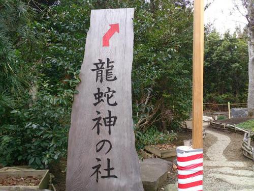 rps20130105_141943.jpg