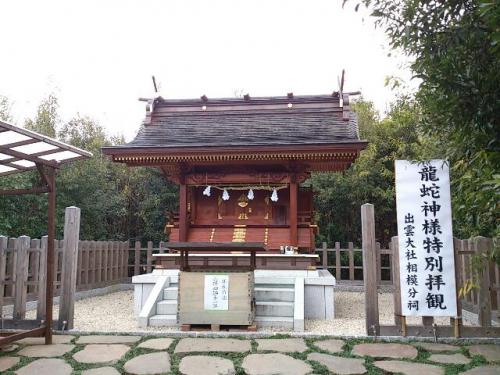 rps20130105_142026.jpg