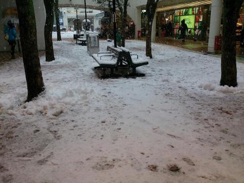 rps20130114_130321.jpg