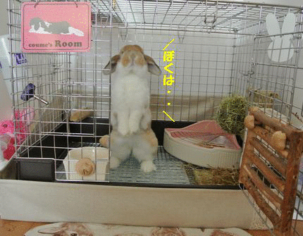 1346134589FT1REI_kM3Kl6cu.gif