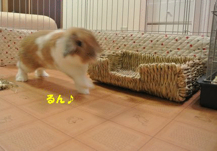13496607506ICMNzb1S84a8_3_1349660673.gif