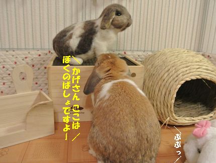 coume 032