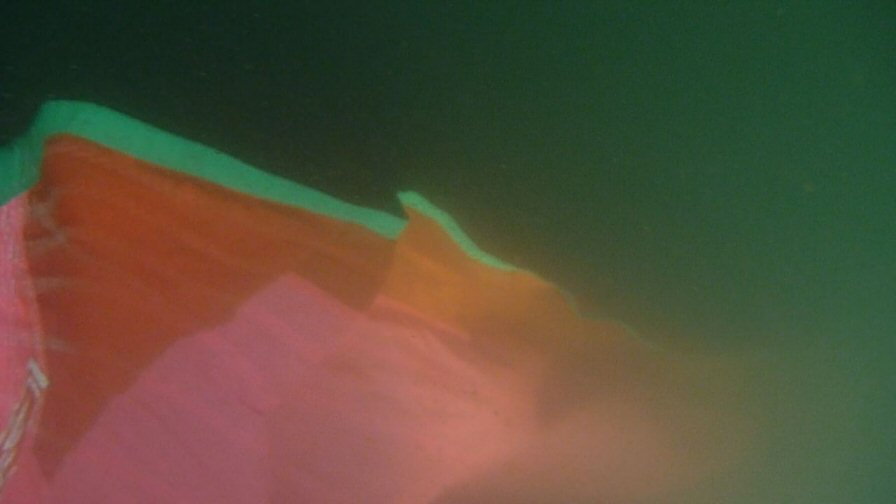 Chin_1011.jpg