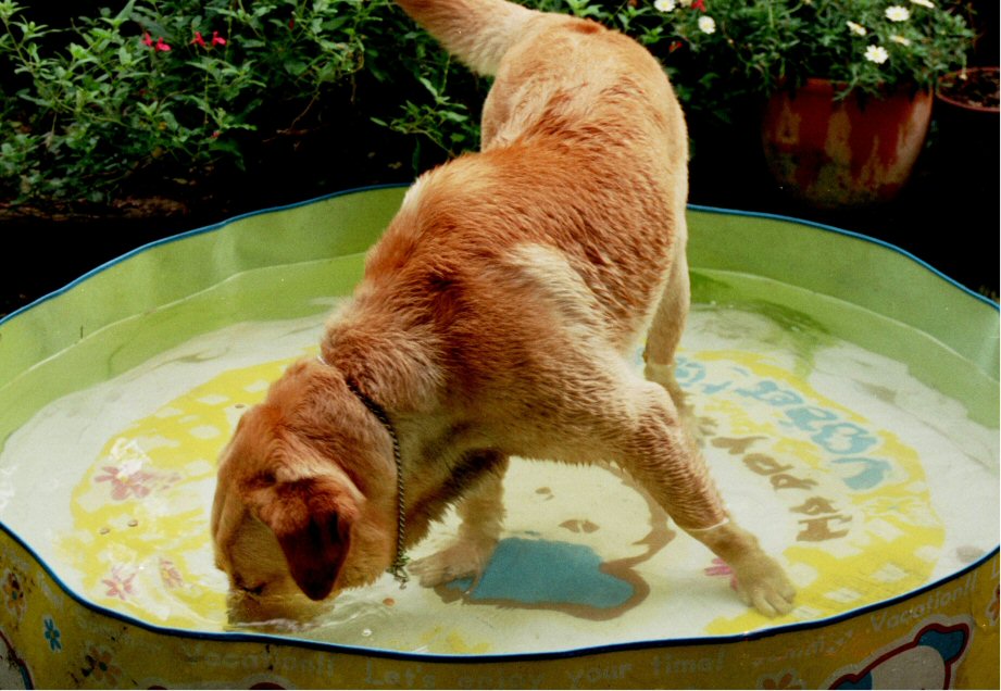 Pool_1.jpg