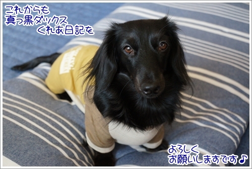 DSC06310.jpg