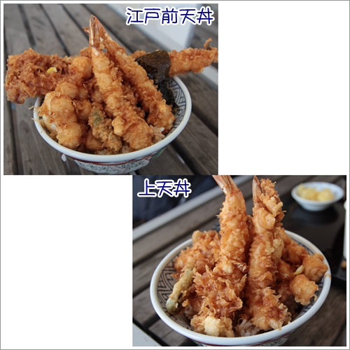 tendon.jpg