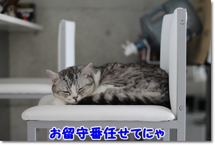 1_20120609010841.jpg