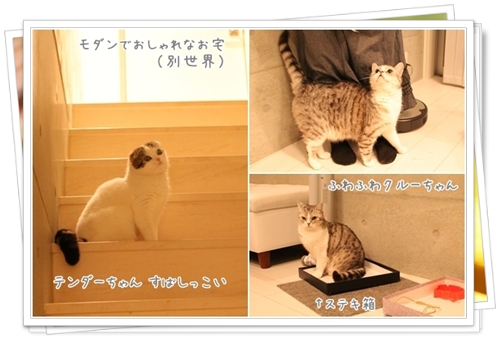 G120526_37.jpg