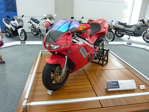 P1070697_R.jpg