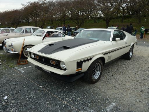 P1090130_R.jpg