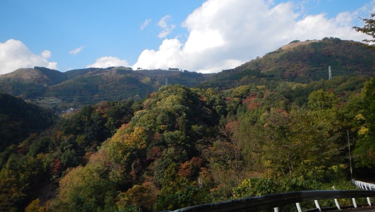 大野山23