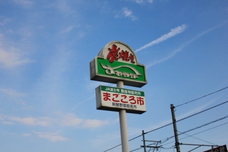 IMG_9605.jpg