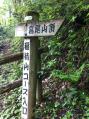 写真 1 (17)