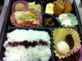 写真 2 (14)