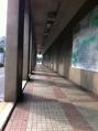 写真 1
