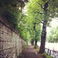 写真 2