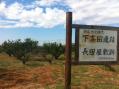 長田屋敷跡