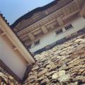写真 1 (32)