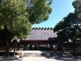 写真 1 (31)
