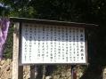 写真 2 (21)