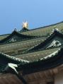 写真 2 (25)