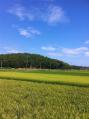 写真 (6)