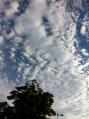 写真 1 (35)