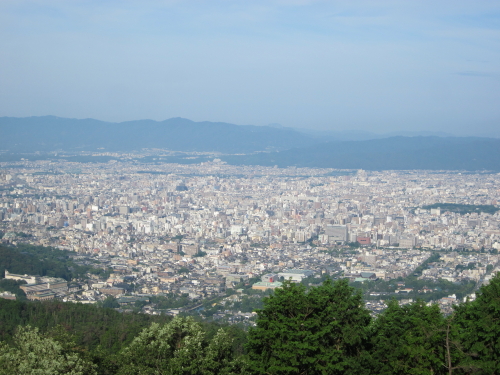 IMG_1954_1.jpg