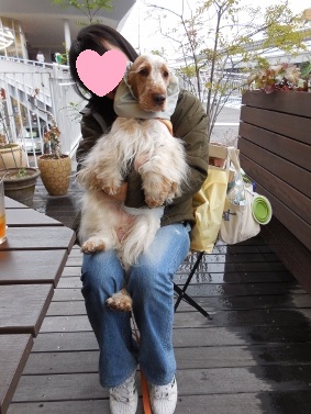 DSCN0928 (283x377)