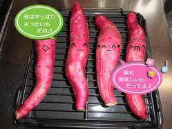 さつまいも①