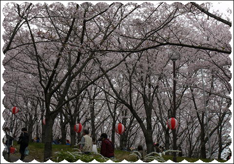201204151.jpg