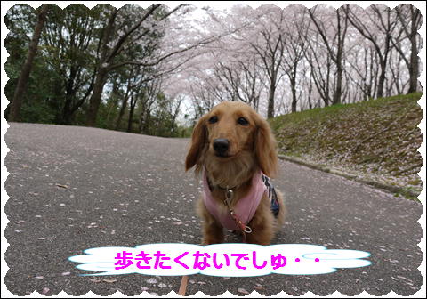 201204152.jpg
