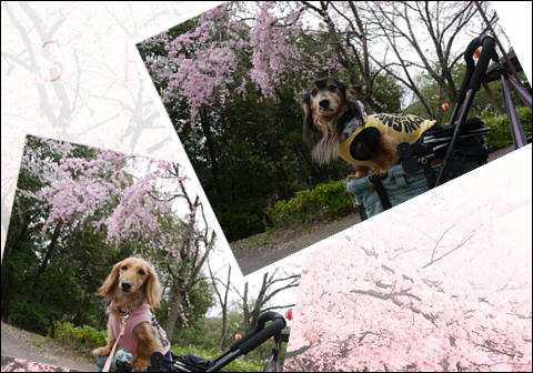 201204153.jpg
