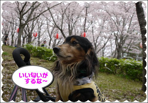 201204154.jpg