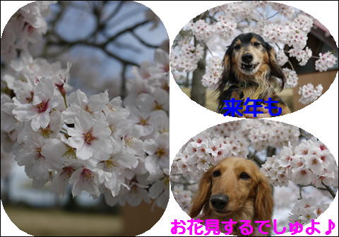 201204157.jpg
