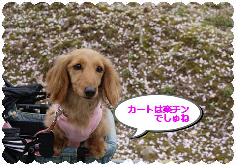201204158.jpg