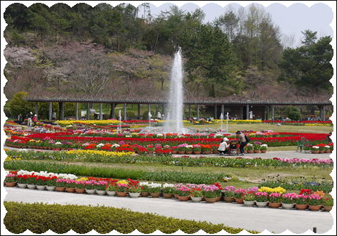 201204182.jpg