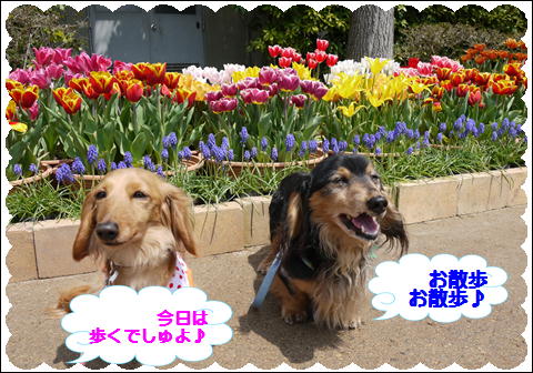 201204192.jpg