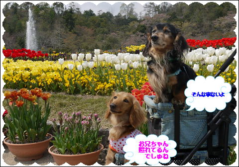 201204195.jpg